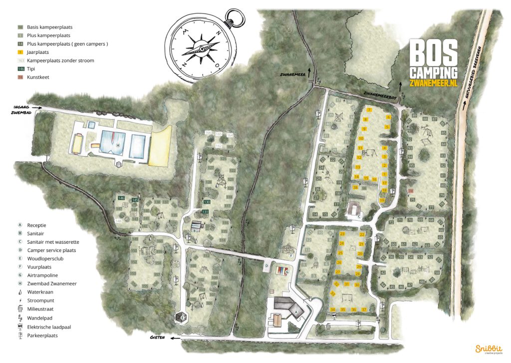Handgetekende plattegrond in 2D optiek van boscamping zwanemeer in Gieten drenthe. de plattegrond is in zwarte lijnen met een aquarelpotlood ingekleurd